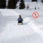 Zur Rinderplatz Hütte führt auch eine kurze Rodelbahn