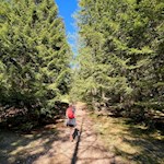 Wanderung zur Vöraner Alm