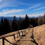 Herbstliches Schattenspiel auf der Lüsner Alm