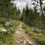 Wanderweg zur Rotbachalm