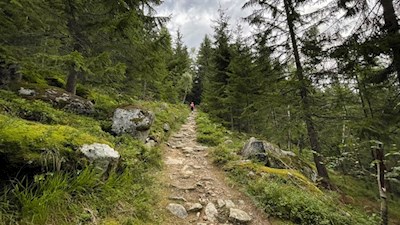Wanderweg zur Rotbachalm