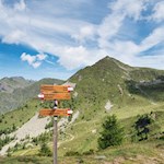 Der Almhüttenrundweg ist bestens ausgeschildert