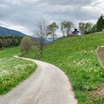 Teile des Rückwegs nach Kiens folgen einem asphaltierten Sträßchen