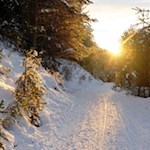 Die Wintersonne taucht die Rodelbahn in warme Farben