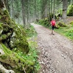 Sanft schlängelt sich der Weg zur Stadlalm