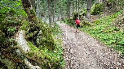 Sanft schlängelt sich der Weg zur Stadlalm