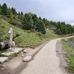 Auf dem erlebnisreichen WoodyWalk