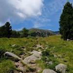 Anstieg in Richtung Zirmaitalm