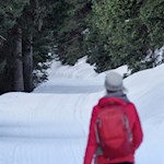 Winterwanderung Kalcheralm