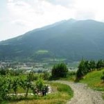 Wo bereits die Römer Wein, Getreide und Früchte anbauten - die Kranebitter Anhöhen