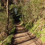 Spaziergang auf sanften Pfaden