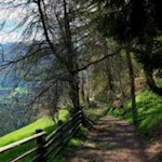 Auf dem Rundweg um die Erdpyramiden bei Percha