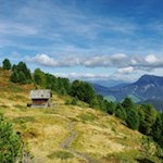 „Die Natur allein ist unendlich reich und sie allein bildet den großen Künstler.“ (J. W. von Goethe)