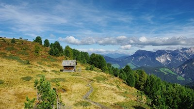 „Die Natur allein ist unendlich reich und sie allein bildet den großen Künstler.“ (J. W. von Goethe)
