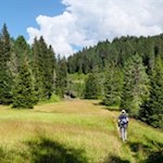 Durch schöne Almwiesen zur Halslhütte