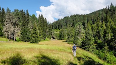 Durch schöne Almwiesen zur Halslhütte