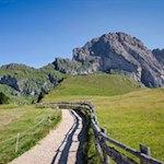 Im sanften Anstieg in Richtung Pieralongia Hütte