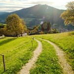 Durch-aussichtsreiche-Wiesen-nach-St-Leonhard