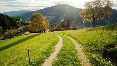Durch aussichtsreiche Wiesen nach St. Leonhard