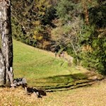 Sanft fällt der Weg nach Briol ab