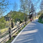 Der Keschtnweg von Barbian auf den Ritten ist gut markiert