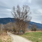 Am Biotop Sommersürs