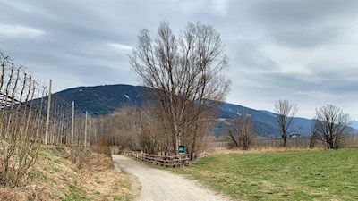 Am Biotop Sommersürs