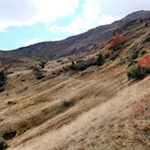 Über die herbstlich gefärbten Hänge auf die Zunderspitze