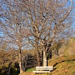 Längs des Weges laden Bänke zum Verweilen ein
