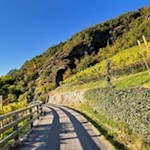 Der Weg zum Patscheider Hof führt durch Weinberge