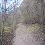 Durch den mittlerweile kargen Herbstwald zur Haselburg