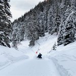 Rodelbahn-von-der-Glatsch-Alm