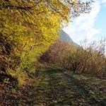 Herbstwanderung nahe der Landeshauptstadt Bozen