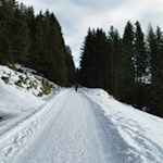 Sanft, aber stetig steigt der Weg zur Taistner Alm an