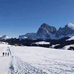 Sanft zieht sich der Wanderweg durch die weiten Almwiesen der Seiser Alm