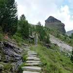 Blick auf das markante Tristennöckl