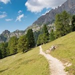 Die hier vorgeschlagene Route zur Haniger Schwaige führt durch eine bezaubernde Landschaft 