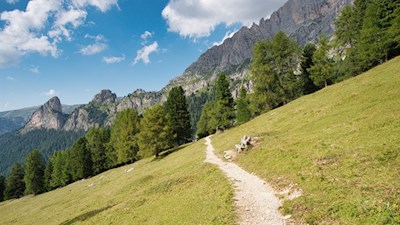 Die hier vorgeschlagene Route zur Haniger Schwaige führt durch eine bezaubernde Landschaft 