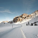 Die Winterwanderung zur Faneshütte führt durch eine berückende Landschaft