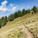 Über friedvolle Hänge von Almhütte zu Almhütte