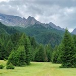 Hohe Bäume und Berge säumen den Weg zum Wasserfall in Pfitsch