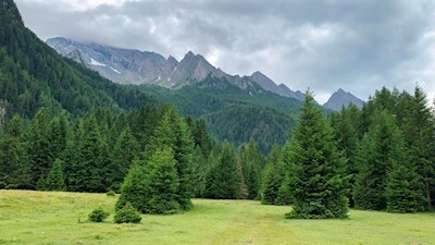Hohe Bäume und Berge säumen den Weg zum Wasserfall in Pfitsch