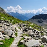Auf dem schön angelegten Wandersteig zur Chemnitzer Hütte