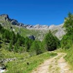 Der Weißsteinbach, ein rauschender Wegbegleiter auf dem Rückweg nach Dun