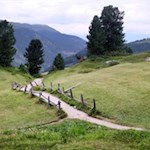 Durch die sanften Peitlerwiesen