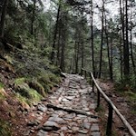 Il sentiero n. 1 porta alla malga Tuffalm