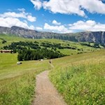 Vor der Kulisse des Schlern zurück nach Compatsch