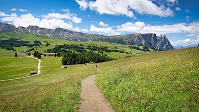 Vor der Kulisse des Schlern zurück nach Compatsch