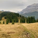 Die Cherz Wiesen werden von Dolomiten umrahmt