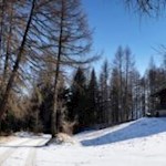Der Weg zur Anratterhütte führt durch teils dichten, teils lichten Wald an mehreren Almhütten vorbei